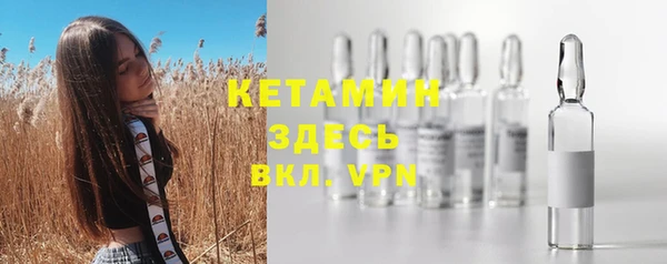 гашик Алексеевка