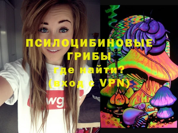 гашик Алексеевка